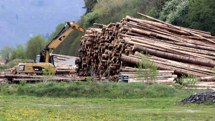 Eslovaquia seguirá talando madera 