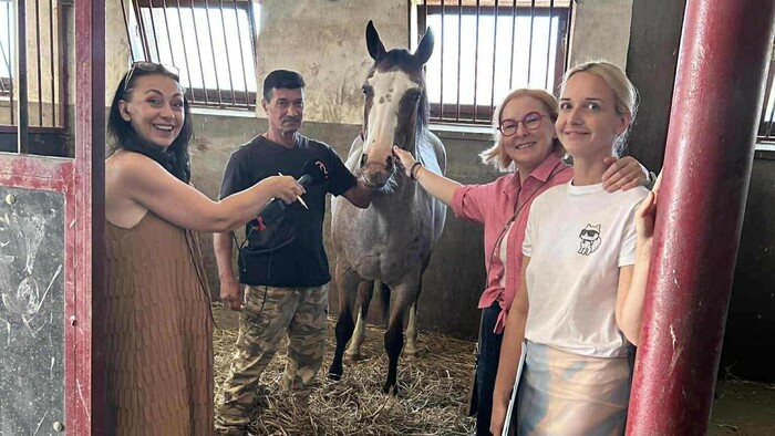 O živote na farme a aj o hoteloch pre kone