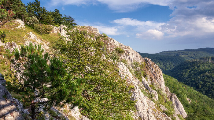 Kršlenica je najvýraznejšie a najrozsiahlejšie zoskupenie brál Malých Karpát