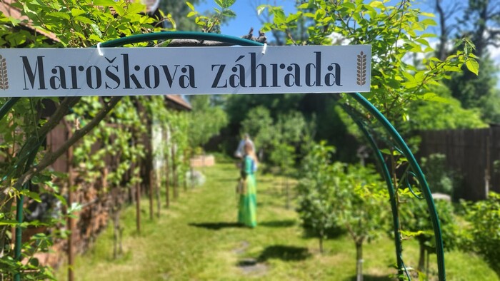 Pestovanie špeciálnych odrôd na malej ploche | Zdravá krajina
