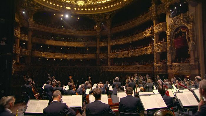 Viedenskí filharmonici v Paríži