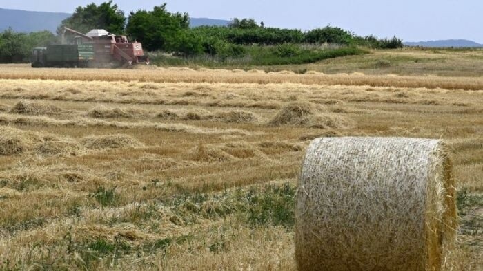 Farmers Post Biggest Growth in Producer Prices