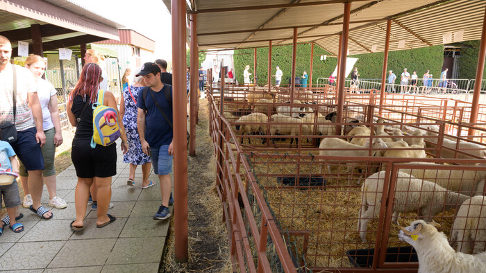 Začína sa výstava Agrokomplex