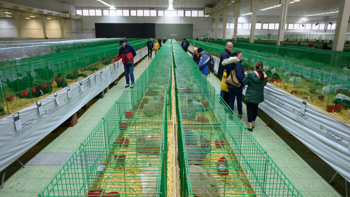 50. medzinárodná poľnohospodárska a potravinárska výstava Agrokomplex
