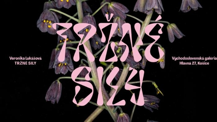 Výstava Veroniky Lukášovej Tržné sily vo Východoslovenskej galérii v Košiciach