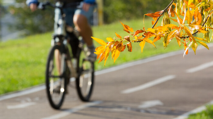Festival bezpečnosti