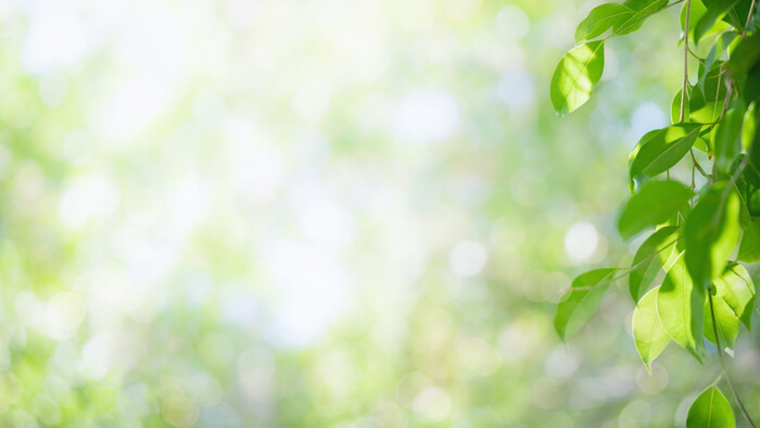 „Zelené“ hlavné mesto