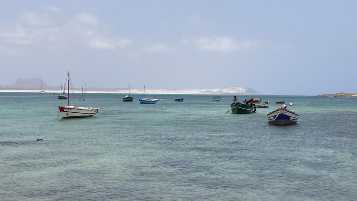 IMG_6144.JPG