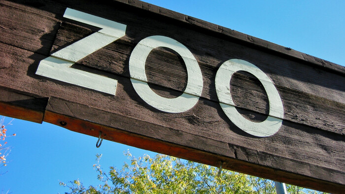 Programy na záchranu zvierat v našich ZOO