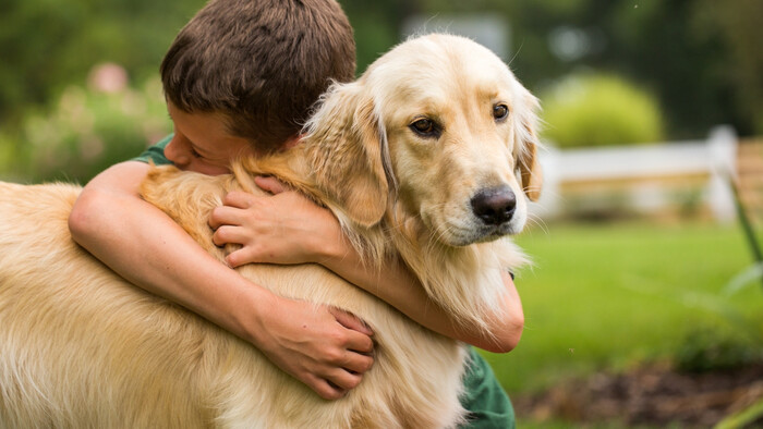 Môže byť veký pes nebezpečný pre dieťa?