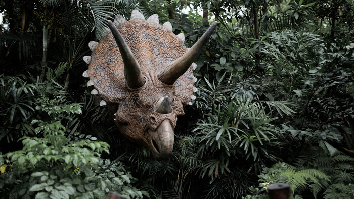 Najväčšie dravé dinosaury pochádzajú z Európy  