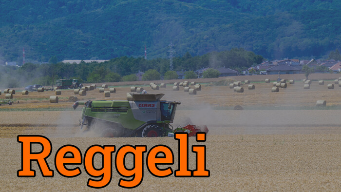 Ígéretes az őszi termés minősége