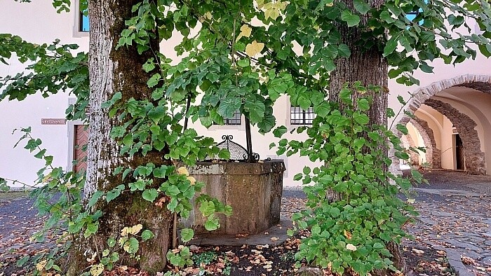 cerveny_klastor_2025 Kay Zeisberg 03.jpg