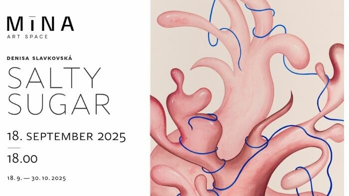Výstava Salty Sugar Denisy Slavkovskej v Mina Art Space