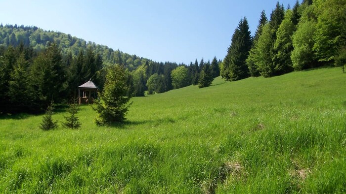 na les hory-les-hora-Stanislav-Háber-STVR