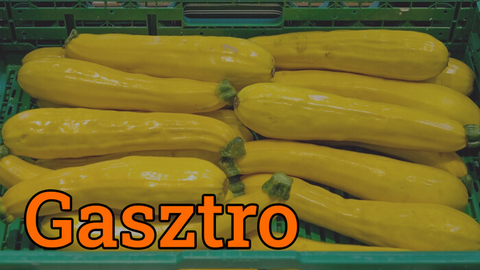 Gasztrorovat Luigivel – Cukkini