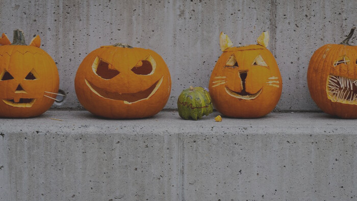 Gasztrorovat Luigival – Tök