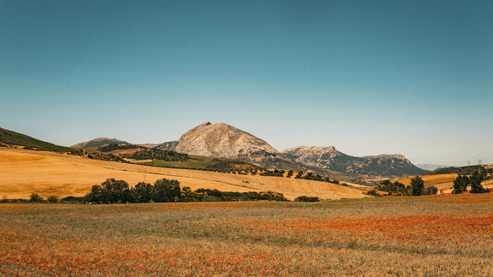 Andalúzia - zeleninová záhrada Európy