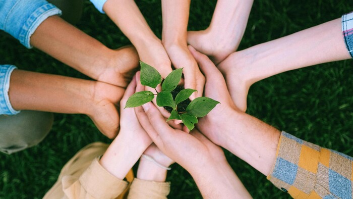 Dobrovoľníctvo v zdravej krajine | Zdravá krajina