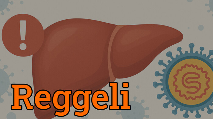 A korábbi évek átlagának többszörösére nőtt a sárgaságos esetek száma az ország déli részén