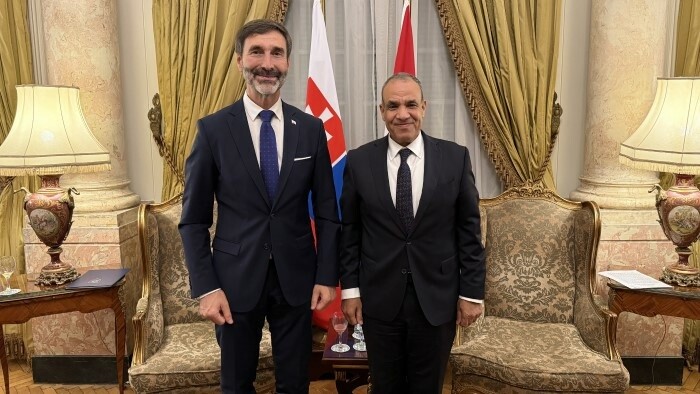 Envoi d'aide humanitaire vers l'Égypte