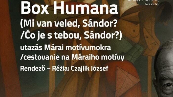 Inscenácia Box humana (Čo je s tebou, Sándor?) v Divadle Thália v Košiciach 