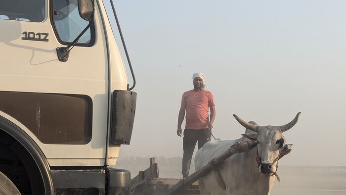 India tazba piesku.jpg