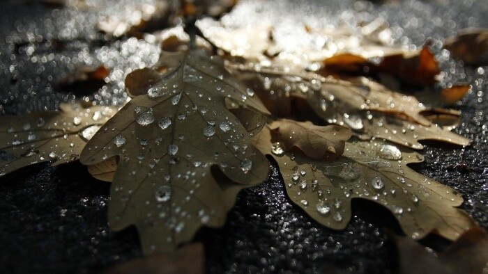 Nezablúďme do údolia sĺz