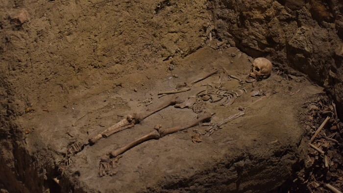 Relikvie, krypty a podzemie v Trnave 