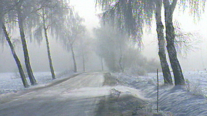 Kráľovstvo krivých zrkadiel