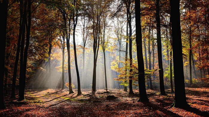 Jesenná turistika v Slovenskom raji