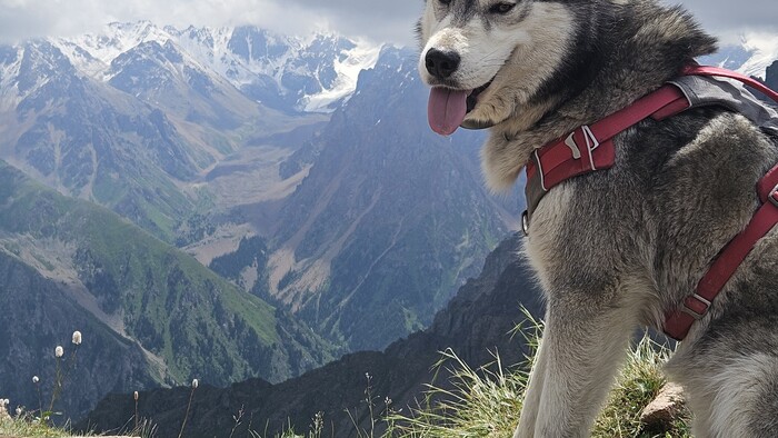 Max v horach strednej Azie.jpg