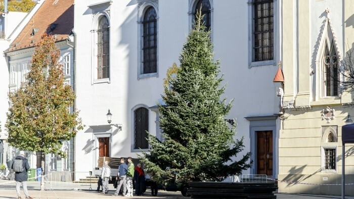 Bratislava : Le sapin de Noël déjà installé sur la place principale 