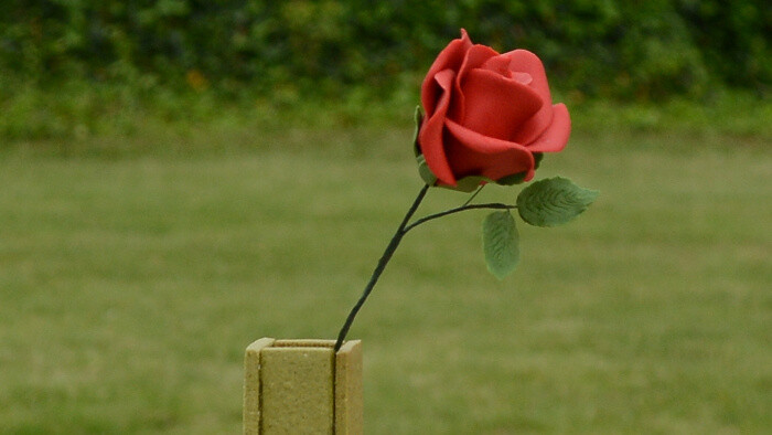 RECEPT: Technická výzva vo vašej kuchyni. Pripravte si kvet vo váze podľa Petry Tóthovej