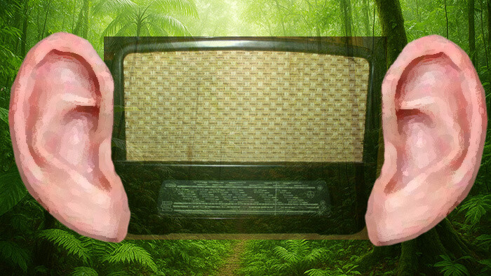 Veronika Repčík: O zakliatych ušiach