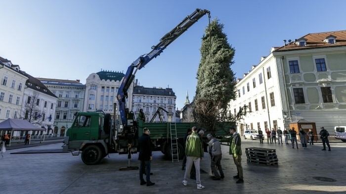Bratislava: Christmas Tree Erected on Main Square