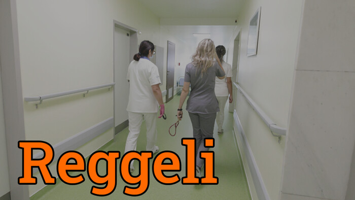 Némileg nőtt az egészségügyben dolgozók száma