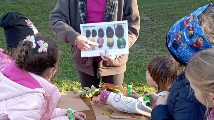 Environmentálna výchova | Zdravá krajina