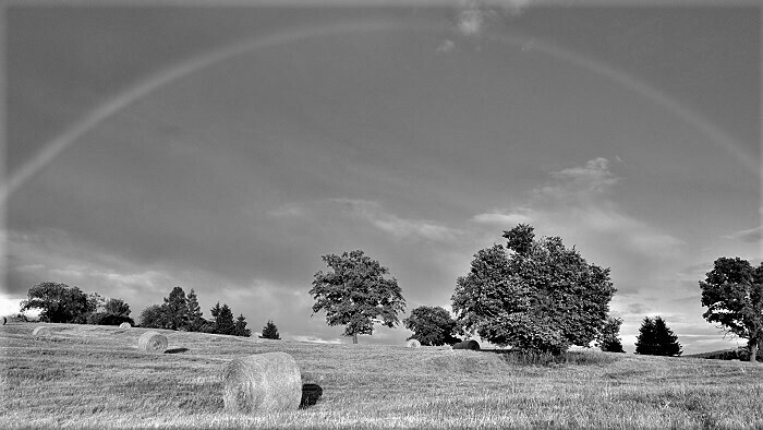 Bola raz jedna povesť na Regine 215. časť