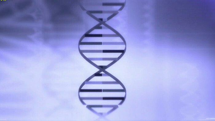 Ako zastaviť poškodzovanie DNA oxidačným stresom?