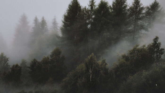 Zamyslenie / Krátke dni