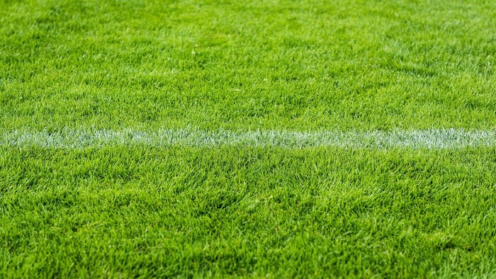 FUTBAL: Trenčianske Stankovce so Slovanom neprekvapili