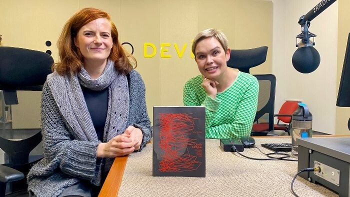 Kniha Chvála odchýlok, Slovenská poézia a preklad po roku 1989