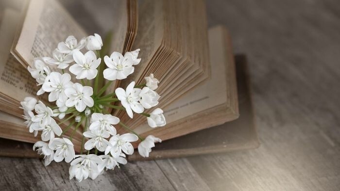 Nové úteky do prírody. Ozveny naturizmu v slovenskej literatúre