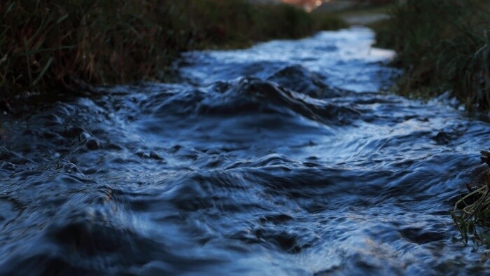 Zamyslenie / Nerestnica