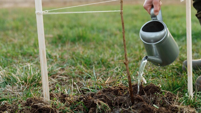 Záhrada, ktorá učí