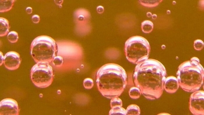 Goldene Perlage – 200 Jahre Schaumwein auf dem Gebiet der heutigen Slowakei