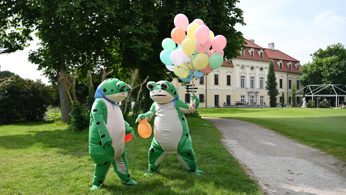 Veselá, bláznivá a farebná