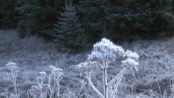 Martin na bielom koni neprišiel