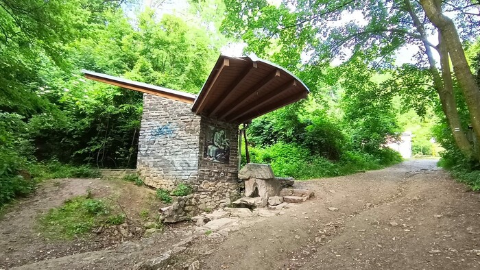 WhatsApp Image 2025-11-07 at 13.04.42.jpeg